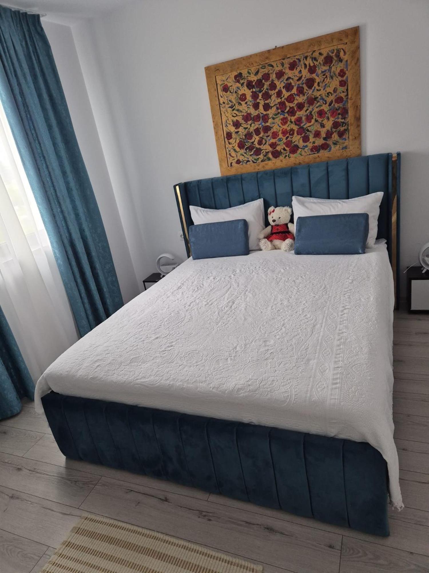Transalpina 16 Appartement